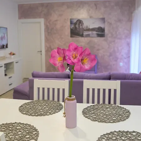 Apartment Dar