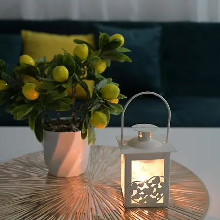 Apartment Dar